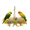 3 pièces perroquet oiseau jouet petits jouets à mâcher suspendus Cage papier cordes fil dessin Takraw décoration fournitures 231225