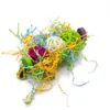 3 pièces perroquet oiseau jouet petits jouets à mâcher suspendus Cage papier cordes fil dessin Takraw décoration fournitures 231225