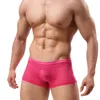 Men's Sexy Underwear See Through Breathable Mesh Boxer Shorts Transparent Striped Underpants Comfortable Male Hombre Thin Soft 231226