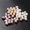 Bracelet Half Hole Pearl Beads Natural Freshwater Oval Half Drilled Pearls Beads for Diy Jewelry Making Earrings Craft Accessories 10pcs