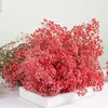 Decorative Flowers Dried Baby's Breath Thanksgiving Halloween Christmas And Harvest Festival Wedding Centerpieces DIY Crafts Gift Boxes