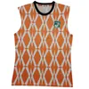 23 24 Cote D Ivoire Soccer Jerseys 2023 2024 Konan Kossounou Kessie Zaha Cornet Boga Sangare Haller Football Shirt