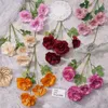 Daphne single branch 3 head Hibiscus Peony hotel wedding flower arrangement landscape auditorium photography props silk flowers AY