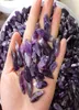 500g Natural Rough Specimen Amethyst Point Quartz Wolf Teeth Wand Crystal Natural stones and minerals Fish tank stone5166128