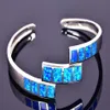 Hela detaljhandelsmode Fine Blue Fire Opal Bangles 925 Silverpläterade smycken för kvinnor BNT1522004286O