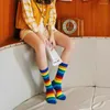 Skarpetki dla kobiet w paski Rainbow Cotton Cute Tube for Girls Ladies Casual Funny Kawaii Hip Hop Woman Streetwear