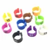 1000 Pcs Card Ring 10 Colors Digital Foot Racing s Parrot Pet Bird Supplies 231225