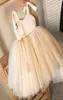 Ins Girls Neaded Lace Party Dresses Baby Kids Fluffy Gauze Tutu Princess Dress Children039s Day ClothingA92137351375