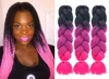 オンブルXpression Braiding Hair Three Tone Jumbo Crochet Braids Syntetic Hairs Extensions 24インチ編組100 Kanekalon WH02482898126