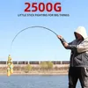 Line Rod and Reel Set Rod Combo Double Spool Fishing Reel Gear Ratio High Speed Spinning Reel Casting Reel Carp for Saltwater