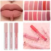 Matte Lip Glaze Batom Matte Antiaderente Copo Brilho Labial Não Desbotado