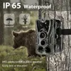 2G MMS SMS P Trail Wildlife Camera 20MP 1080P Night Vision Cellular Mobile Hunting Cameras HC801M Wireless Po Trap 231225