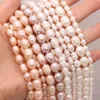 Natural Freshwater Pearl Beads Rice Shape 100 Real Pearls Exquisite Bead for Jewelry Making DIY Women Bracelet Necklace Earring 231226