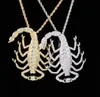 18k Gold Animal 3D Scorpion Pendant Necklace Iced Out Zircon med repkedja för män Kvinnor Chram hiphop smycken gåva8091058