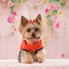 Ropa para perros 10 unids Navidad Pet Bows Accesorios para el cabello Fiesta de vacaciones Perros Aseo para pequeños suministros de sombreros