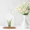 Vasi con coperchio in vetro decorativo trasparente cloche supporto per cupcake matrimonio campana di fiori eterni