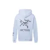 Shizu Bird 23 Sweater Spring New Couple Hooded Loose Sports and Leisure Fur 2024 arcte