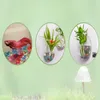 Transparent Hanging Glass Vase Air Plant Wall Fish Tank 15CM for Home Wall Decor 231227