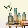 Retro Retro Roman Relief Art Vase Vase Indoor Office Table Plant Fleur Fleur Decoration Accessoires Vase en verre transparent LJ22326327