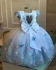 Light Sky Blue Puffy Little Girl's Ball Gown Wedding Flower Girl Dresses Brodery Lace Pearls O-Neck Cap Hyls Toddler Prom Birthday First Communion Wear CL3123