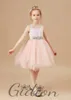 Fille robes en dentelle / tulle pour enfants d'anniversaire de soirée Ball Ball Pageant Mariage Cérémonie Banquet de bal Banquet Flower Girls Dressess