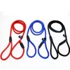 adjsutable Pet Dog Cog Collar Nylon Leaseshes Training Leash Slip Lead Strap Told Adlemable Twice Twist