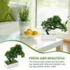 Dekoratif Çiçekler Simüle Saksı Bitki Mini Bonsai Ağacı Sahte Çam Süsleri Ev Heykeli için Yapay Bitkiler