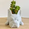 Valpstaty Planter Harts Ornament Succulents Flower Pot Home Office Desktop Garden Decoration 10x5x3.5cm 231227