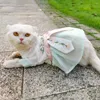 Disfraces de gato 2023 hermoso con cinta transpirable bordado perro princesa vestido antiguo cachorro falda delgada mascota ropa hanfu