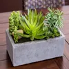 Dekorativa blommor Succulent Garden Artificial Plant med Concrete Planter Green