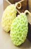 Wet N Wild Sponge Microphone Bath Sponges Ball Mesh Brushes en nid d'abeille ACCESSOIRES CORPS WIST NATUREL NATUREL DRESS EXFOLIATION NETTOYAGE 2982028