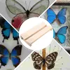 Frames Butterfly Wings Toy Insects Specimen Making Board Spreading Butterflies Tool Metal Display Experimental Supply