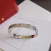 2022 Luxury top fijn merk pure 925 sterling zilveren sieraden voor vrouwen Easy Lock Bangle Rose Gold Vol Big Main Diamond Love Bangle287B