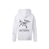 Shizu Bird 23 Sweater Spring New Couple Hooded Loose Sports and Leisure Fur 2024 arcte