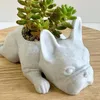 La estatua de cachorros Subterador de resina Suculentas Flower Pot Oficina en el hogar Decoración de jardín de escritorio 10x5x3.5cm 231227