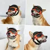 Lunettes de soleil pour chiens Casquez pour animaux de compagnie avec des lunettes de chien Vent à poussière Protection UV Verres de chien Casque de chien et lunettes Casque de moto de chien 231227