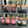 Creative Peony Color Changing Tea Pet Lucky Resin Tea Figurine Tea Set Decoration 231226