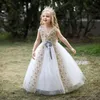 Girl Dresses Flower Princess Dress Fluffy Brithday Ball Gown Sleeveless Tulle Wedding Guest Evening Party Elegant Catwalk For Kids