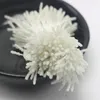 Bröllopsblommor 560 PCS Glass Caviar Beads Head Artificial Flower Stamen Double Round Heads Bomullssträng för Millinery Sugarcraft
