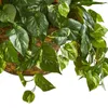 Dekorative Blumen 31" Bromelie Pothos Kunstpflanze im Hängekorb grün