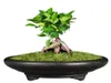 Vaso bonsai Bacino non smaltato Cina YiXing Mini Vasi bonsai Vaso da fiori da giardino Sabbia viola Ventilazione Ceramica Vasi da fiori per piante grasse C1116897455