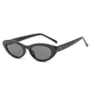 Lunettes de soleil Vintage Hawksbill Cat-Eye Haute Qualité Polygone Petit Mètre Nail Mode Femmes Hip Hop Rétro Lunettes