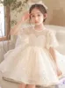 Robes de fille haut de gamme enfants fête de luxe pour les filles taille 0 à 14 ans anniversaire Po Shoot robe de soirée formelle en dentelle robe de bal robe