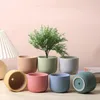 Semplice vaso di fiori colorato Fioriera in ceramica per piante grasse Decorazioni per la casa Decorazione per interni Ornamenti per il desktop Pianta bonsai 231226