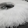 10-15 cm Strauß Feather Randverkleidung für Hochzeitskleiderkleidung Dekoration Nadel 1 Meter Fleckenband Trimmbahn Gürtel 231227