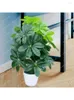 Decorative Flowers Fake Trees Simulation Plant Pachira Macrocarpa Floor-Standing Decorations Potted Living Room Home Furnishings Greenery