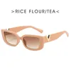 مصمم نظارات شمسية للنساء رجعية مستطيلات صغيرة مصممة ضد Sun Glasses Cat Eye Square Ladies Gafas de Sol Fashion Frames Sunglass