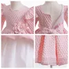 Little Girls Diamond Lattice Pink Princess Dress Ball Gown Kids Stereo Flower Bows Belt Party Dress Valentine's Day Children Dance Performance Clothes Z6327