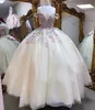 Quinceanera Dresses Party Prom Ball Gown Off-Shoulder Sreveless Tulle Custom Zipper Lace Up Plus New Apprique Bow 3D Floral Aptiques