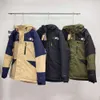 Designer Luxe Northface Klassieke Lente Herfst Seizoenen Nieuwe Koppels Outdoor Gekleurde Capuchon Casual Waterdichte Verdikte Warme Katoenen Kleding voor Mannen en Vrouwen